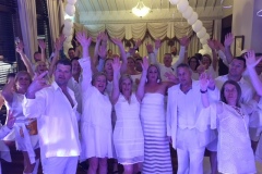 functions_and_party-singer_tim_pringle